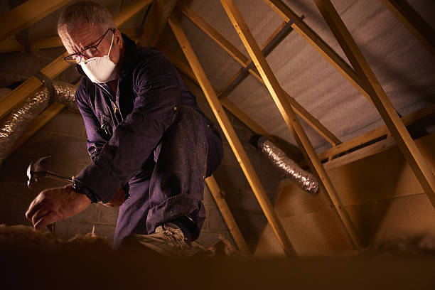 Types of Insulation We Offer in Lincoln Park, NJ